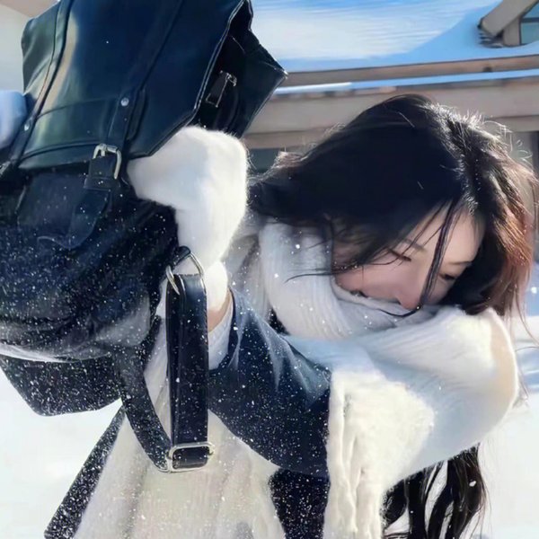 侠女十三妹